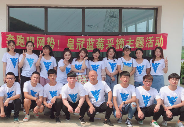 【奔跑吧網(wǎng)勢！】藍(lán)莓采摘主題團(tuán)建活動