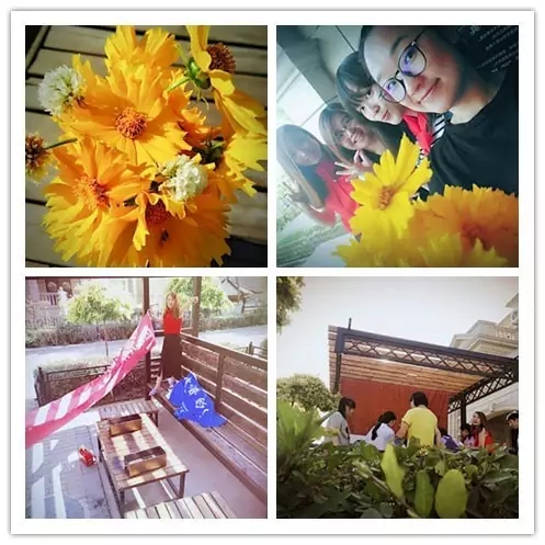 網(wǎng)勢(shì)科技6周歲生日快樂(lè)！