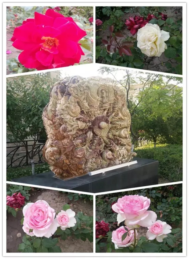 網(wǎng)勢(shì)科技6周歲生日快樂(lè)！